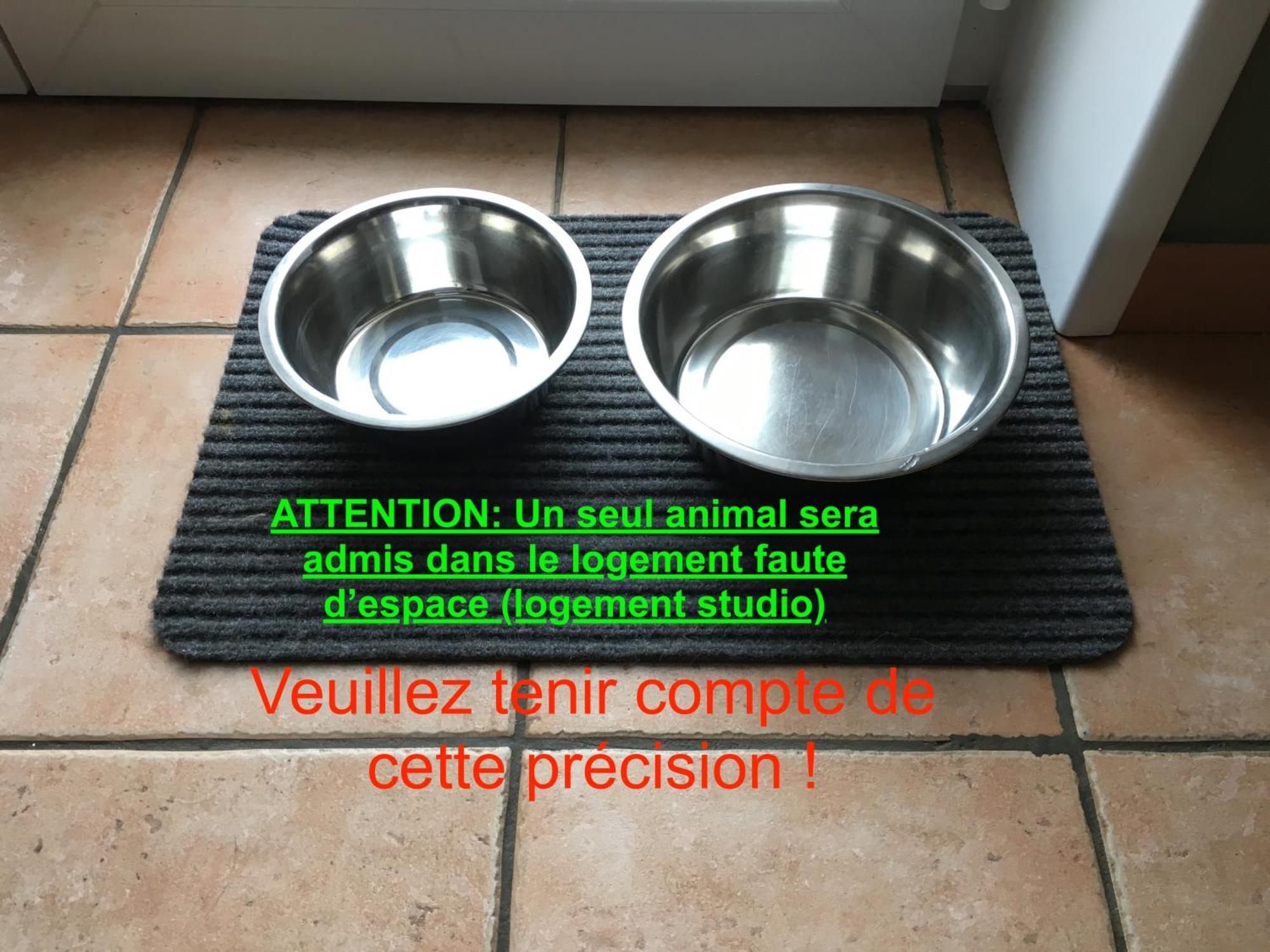 Studio "Cote Mer" La Naturelle - Wimereux Kültér fotó